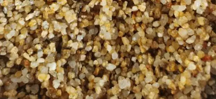 Sea Sand.webp